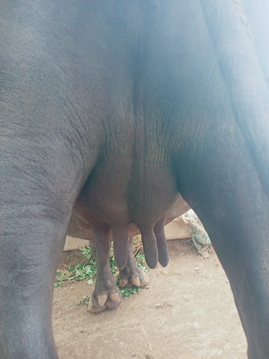 Post Image 2