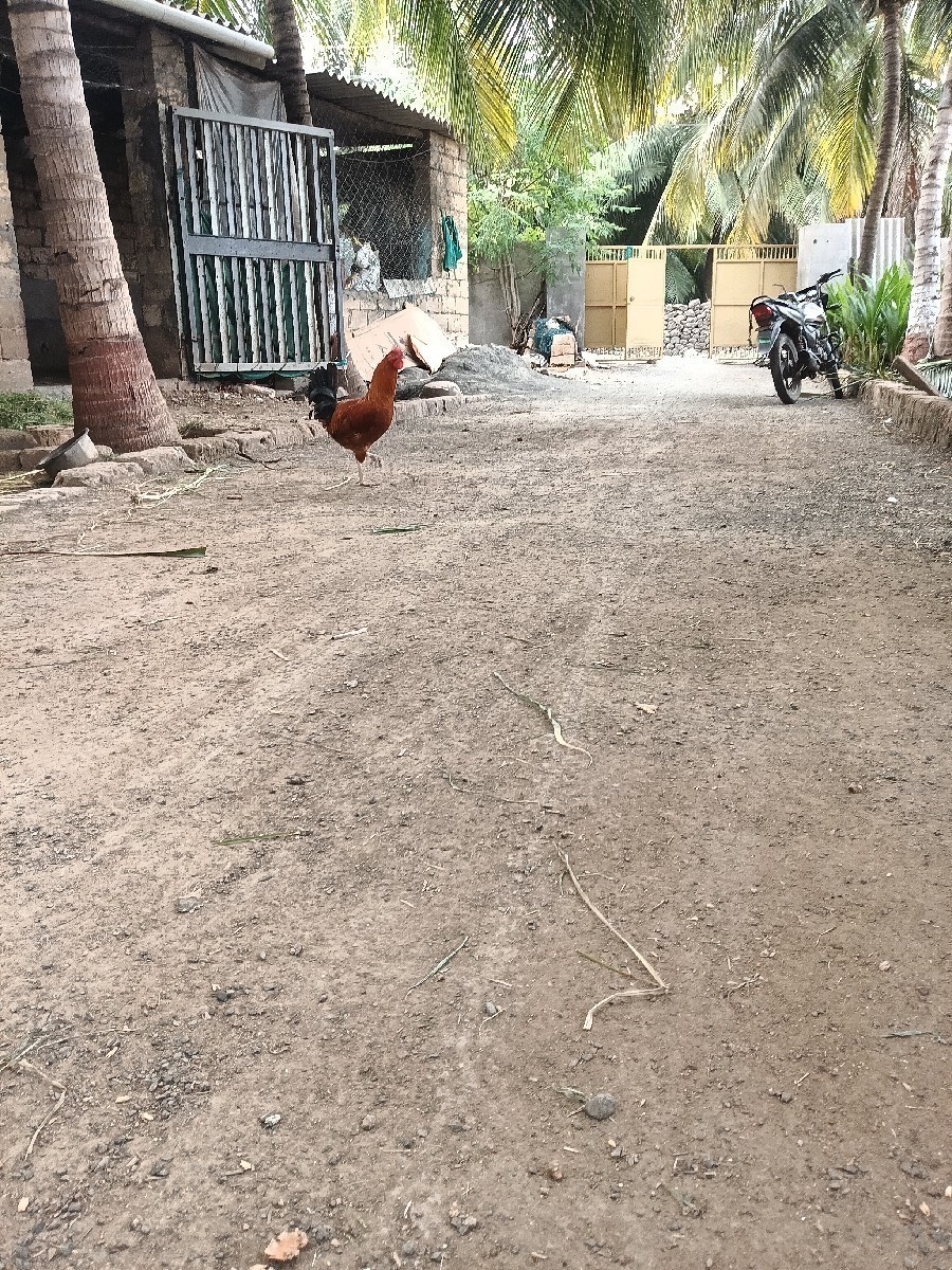 Post Image 2