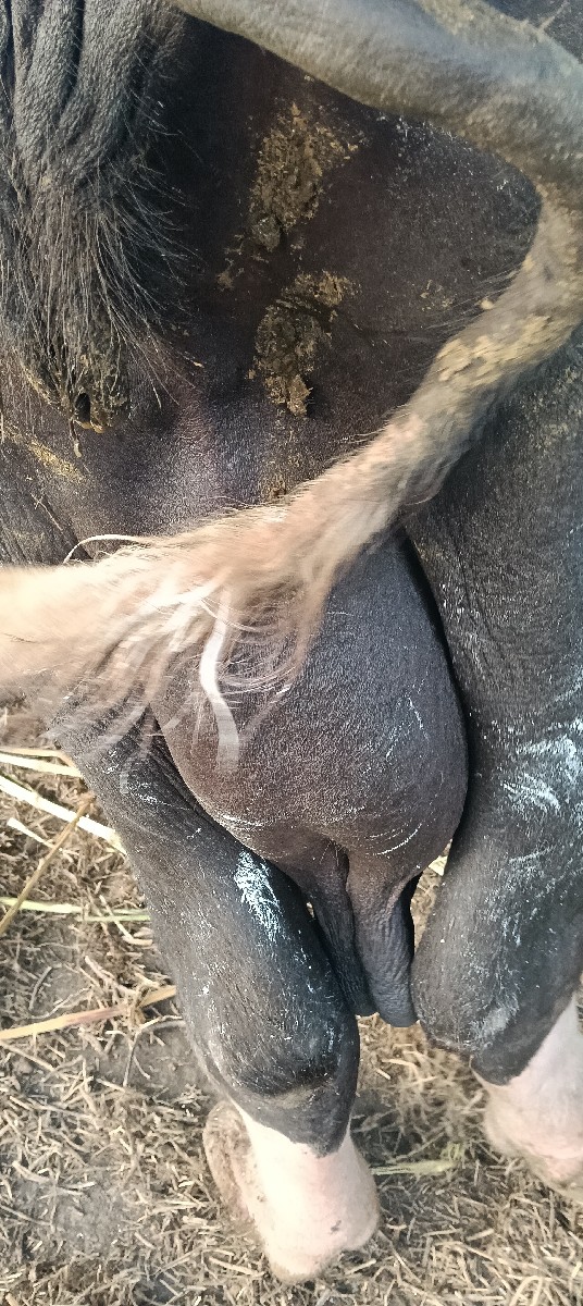 Post Image 6