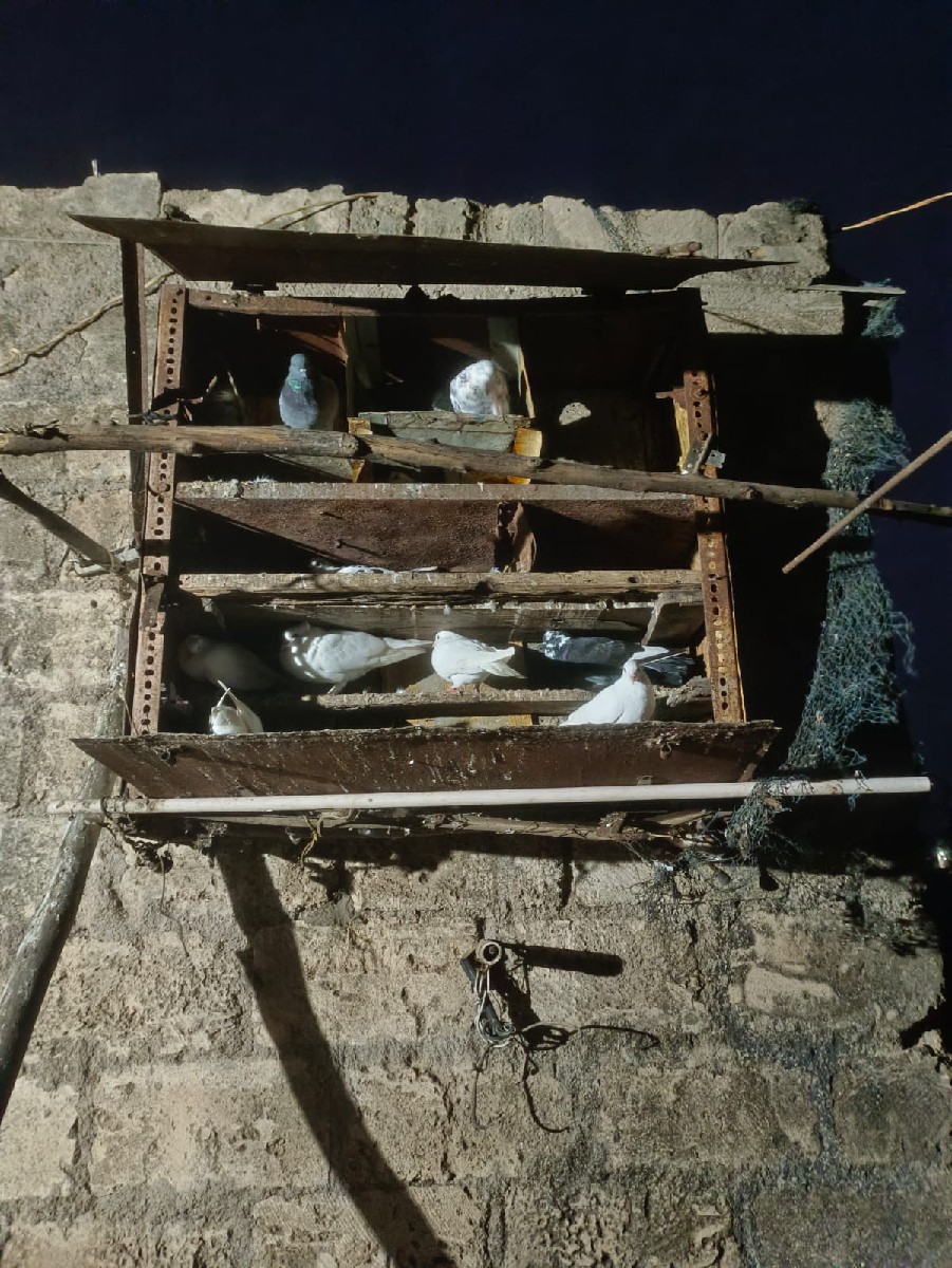 Post Image 1