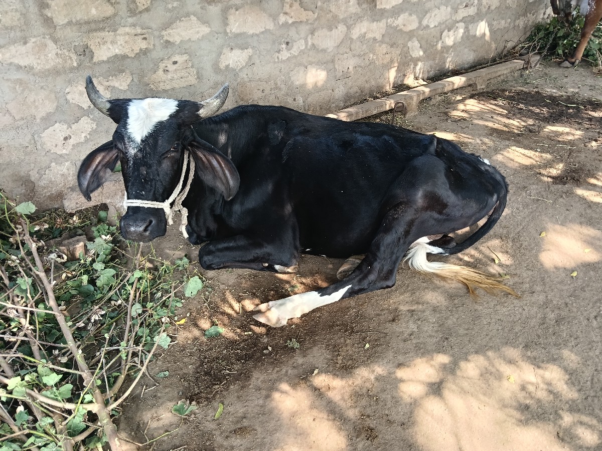 Post Image 2