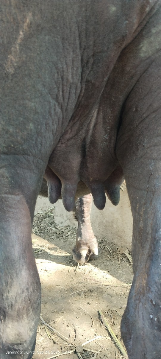 Post Image 2