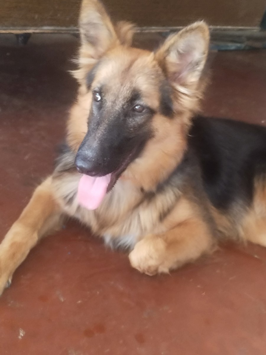 Post Image 1