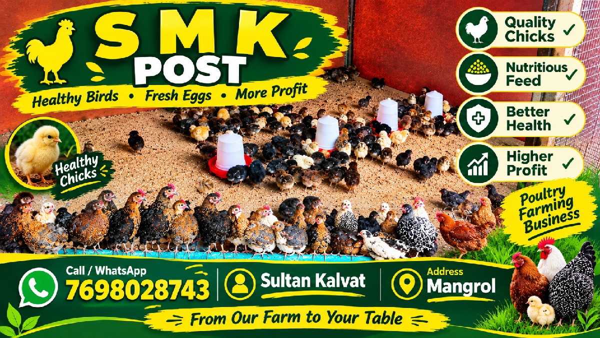 Post Image 1