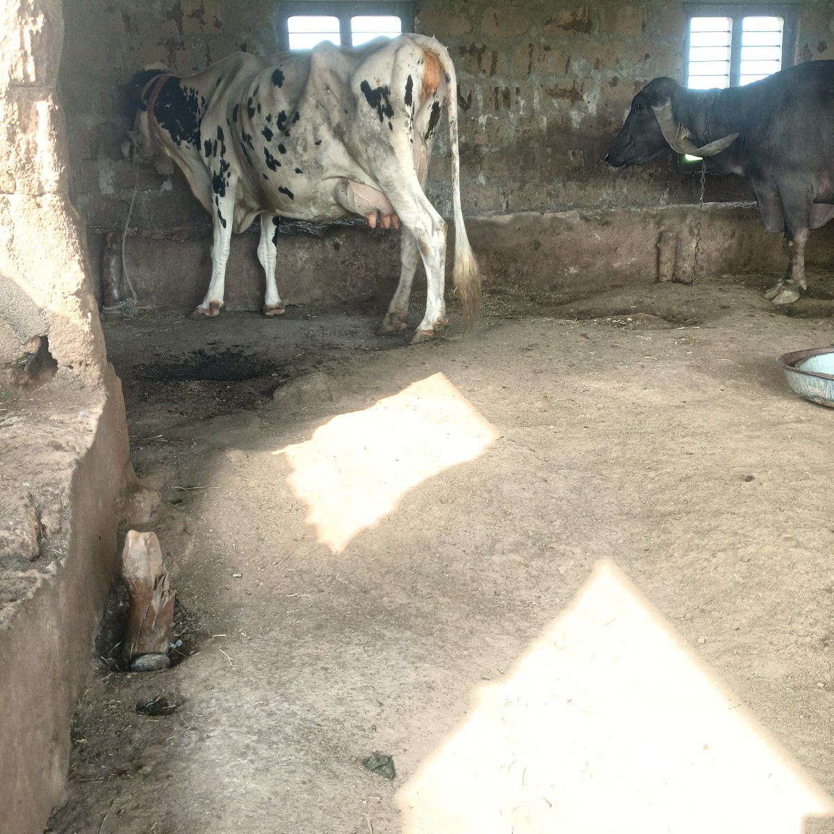 Post Image 3