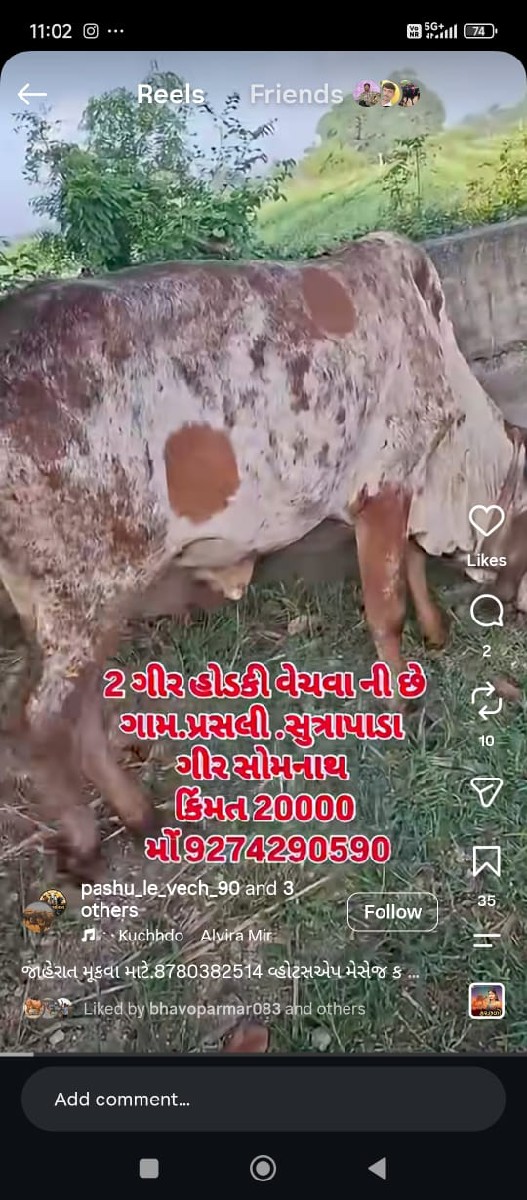 Post Image 2
