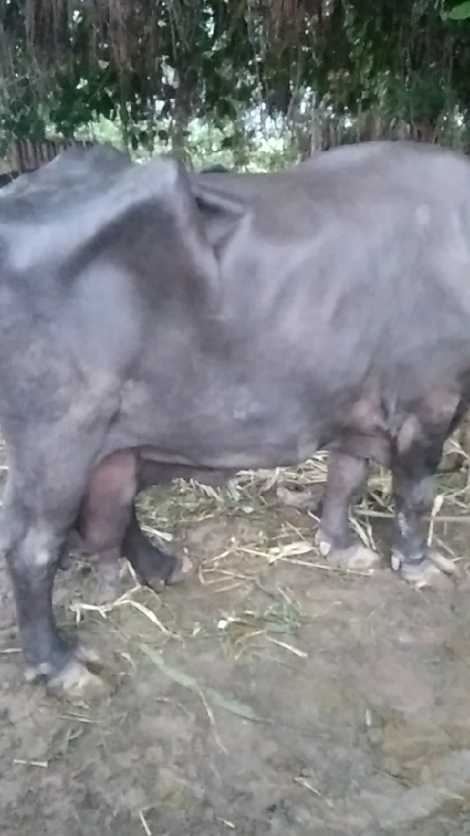 Post Image 1