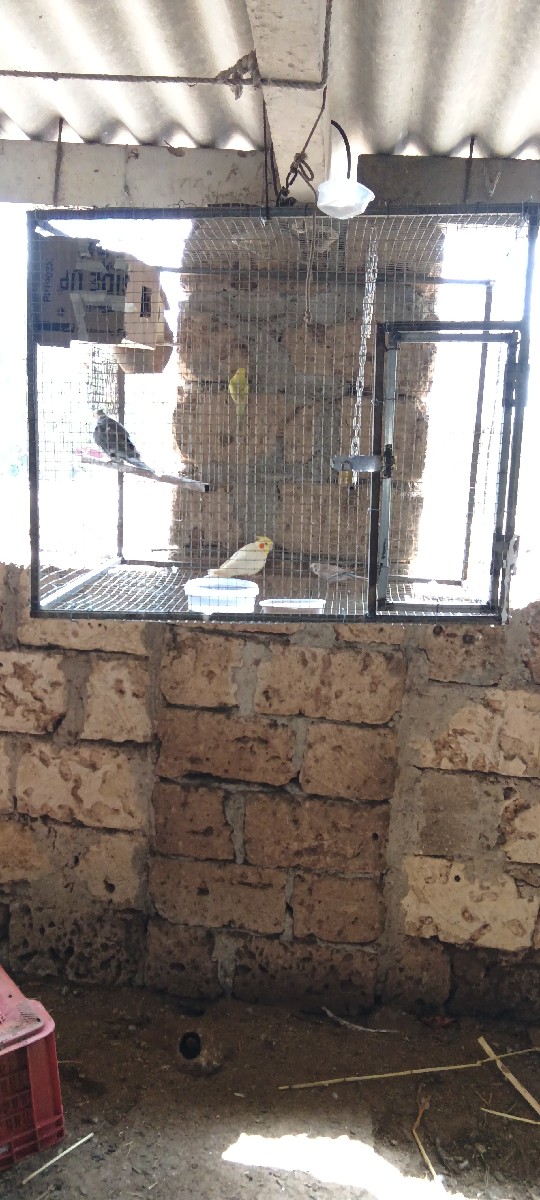 Post Image 1