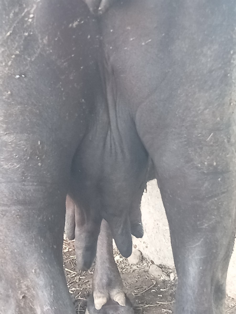 Post Image 2