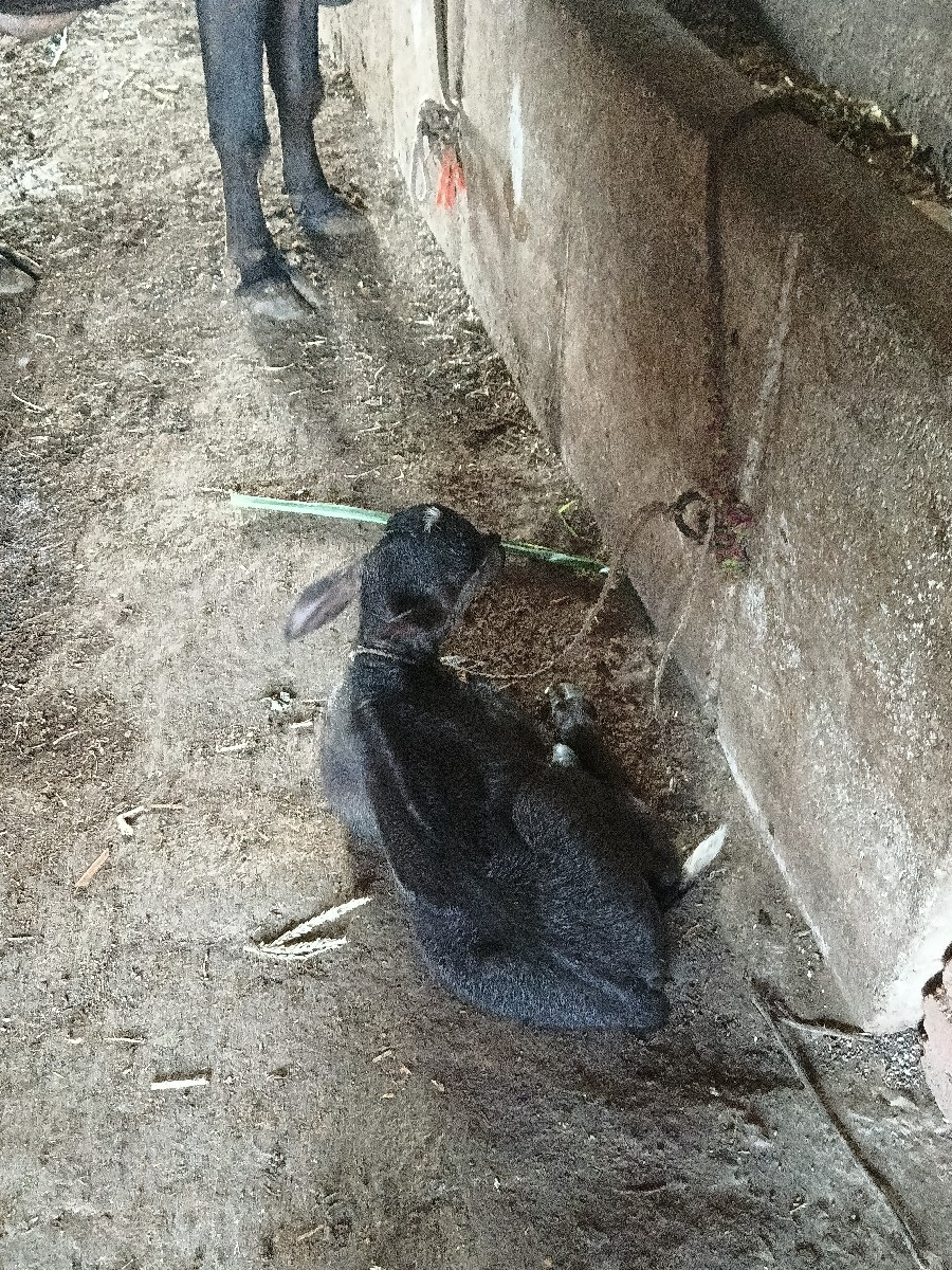 Post Image 2