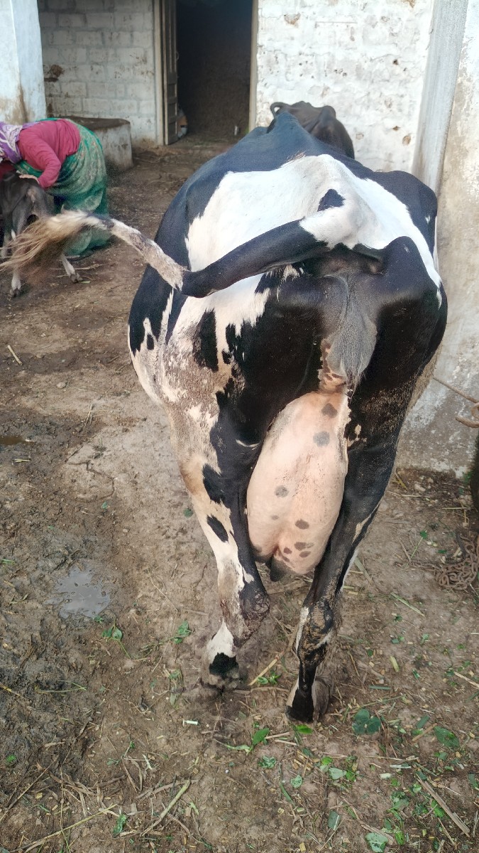 Post Image 2