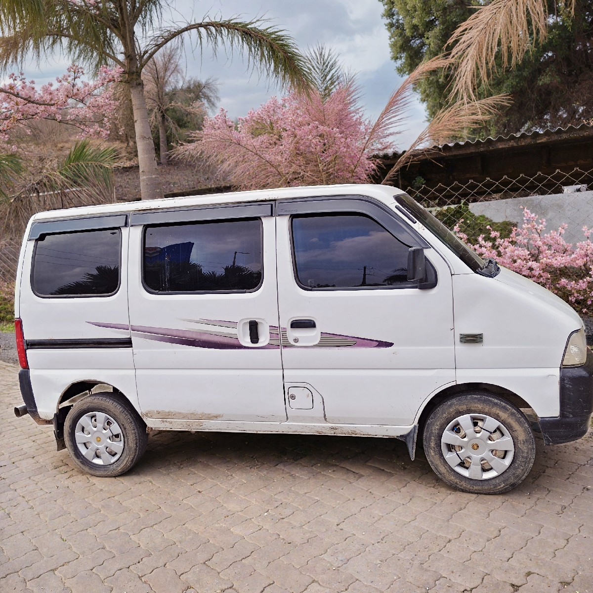 Post Image 3