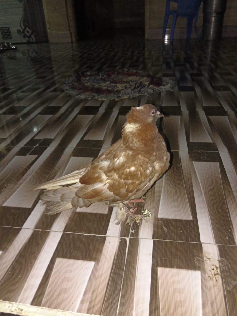 Post Image 1