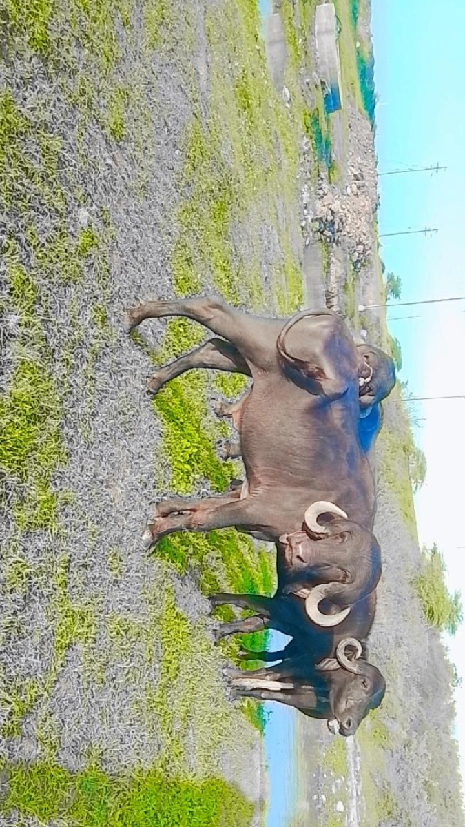 Post Image 3