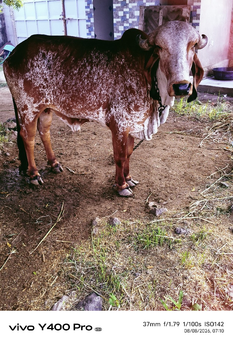 Post Image 2