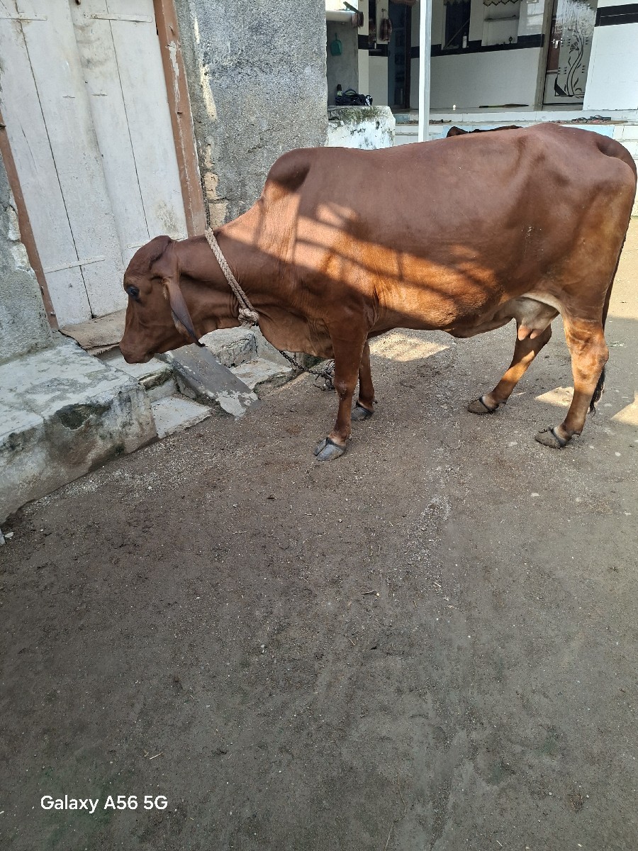 Post Image 2