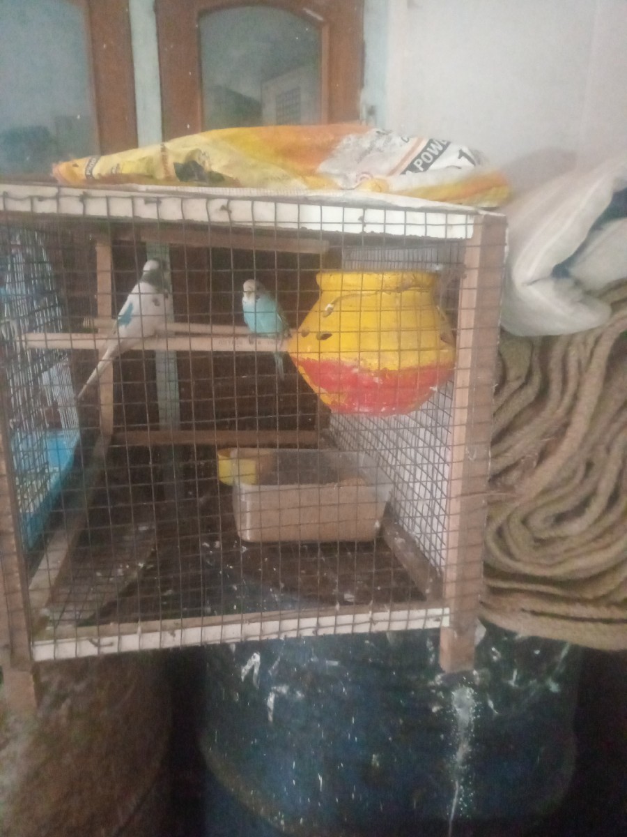 Post Image 2