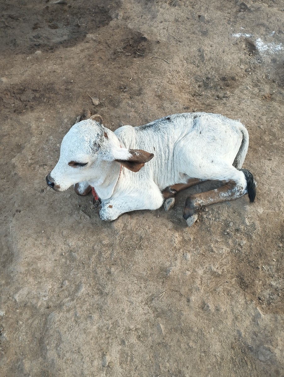 Post Image 3