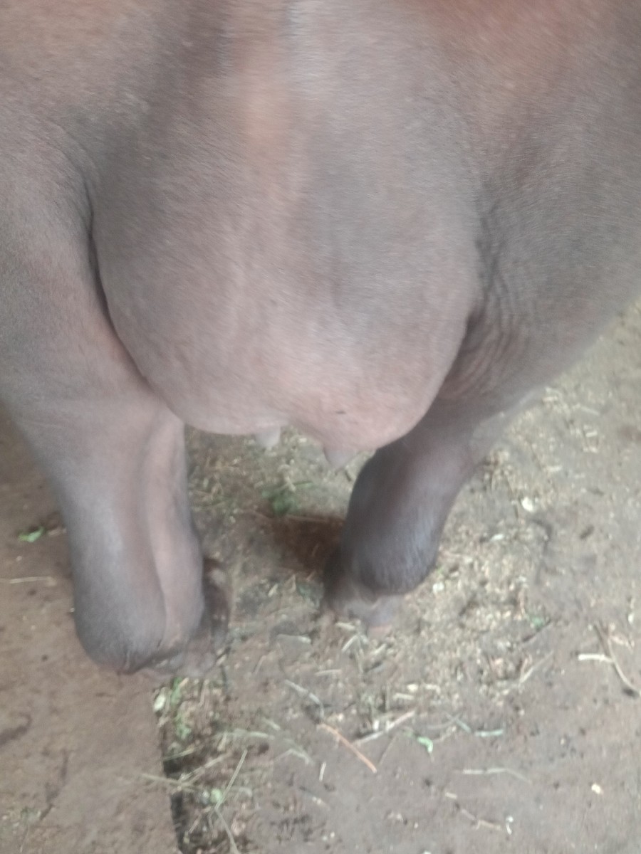 Post Image 6