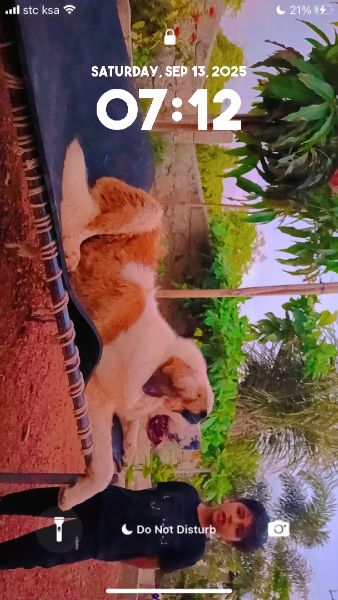 Post Image 4