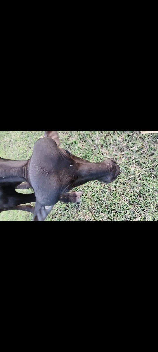 Post Image 5