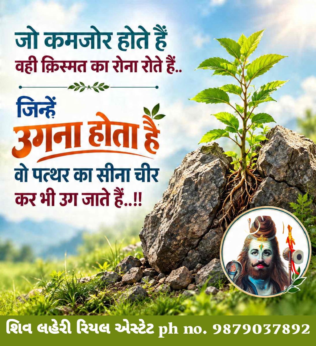 Post Image 3