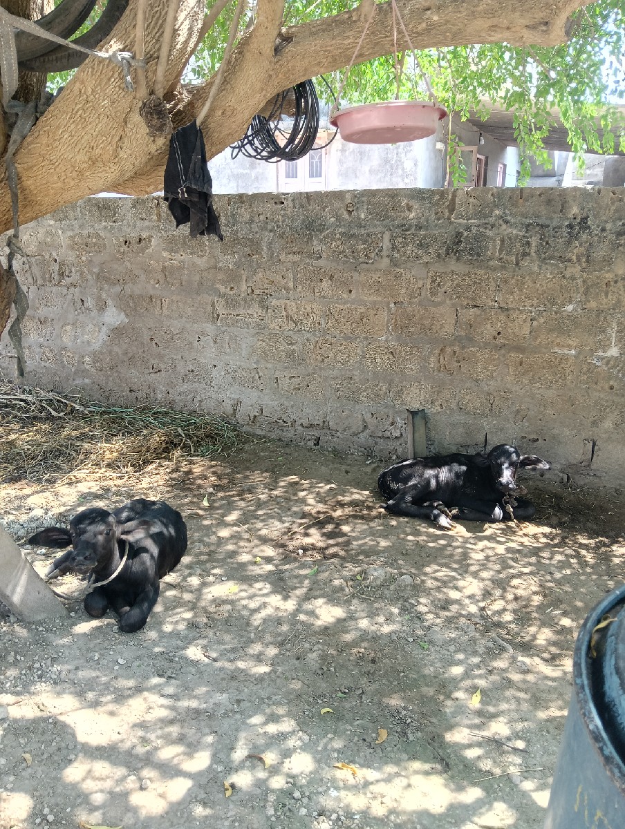 Post Image 3