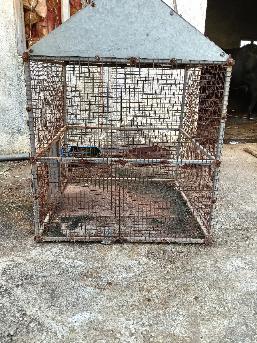Post Image 2