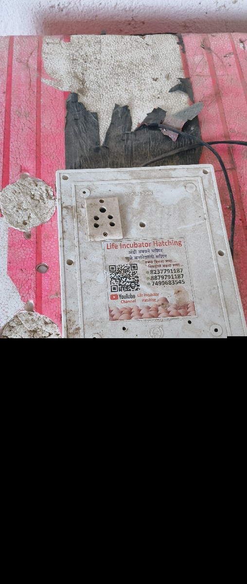 Post Image 2