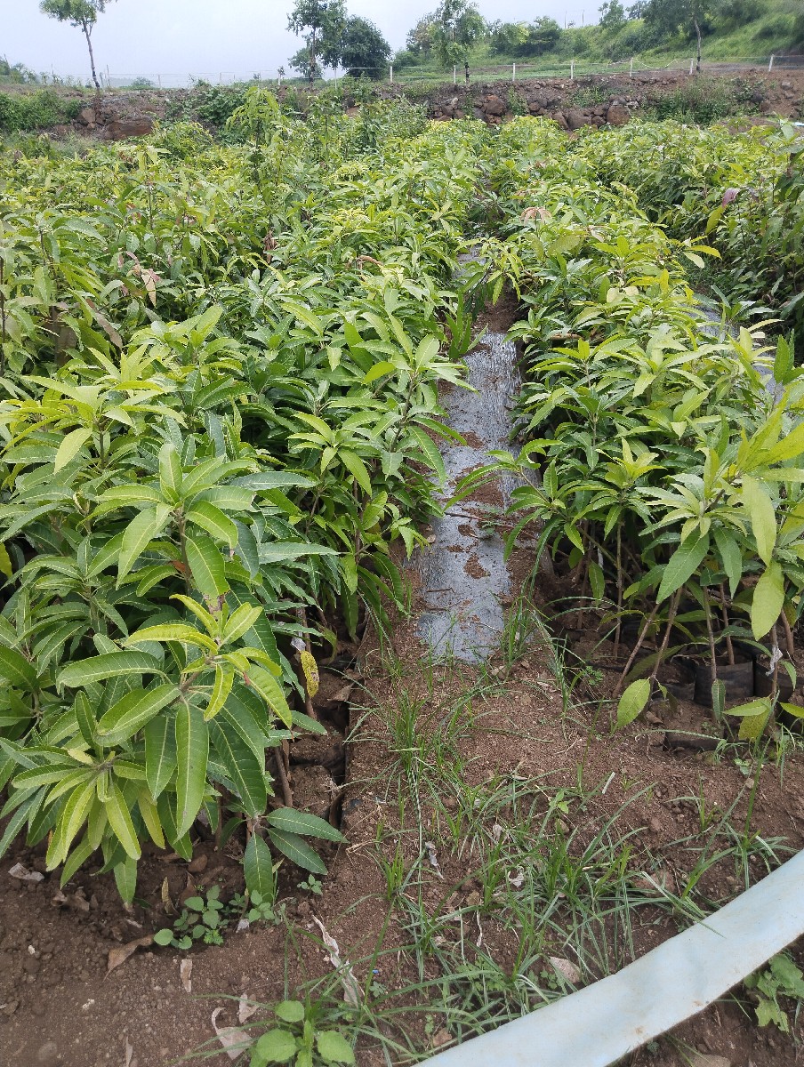 Post Image 6
