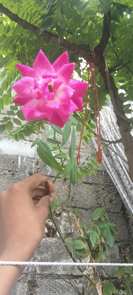 Post Image 3