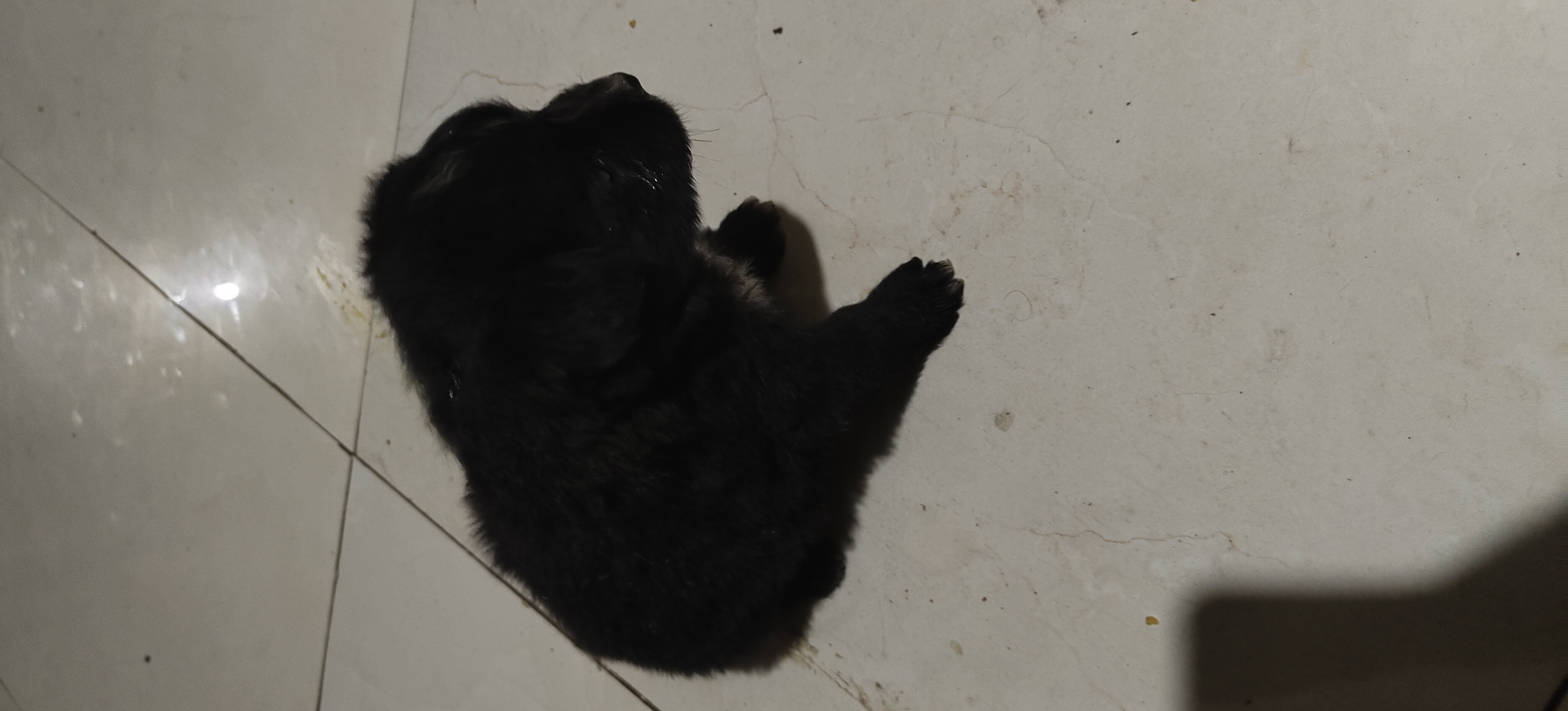 Post Image 2