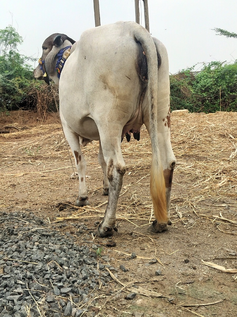Post Image 2