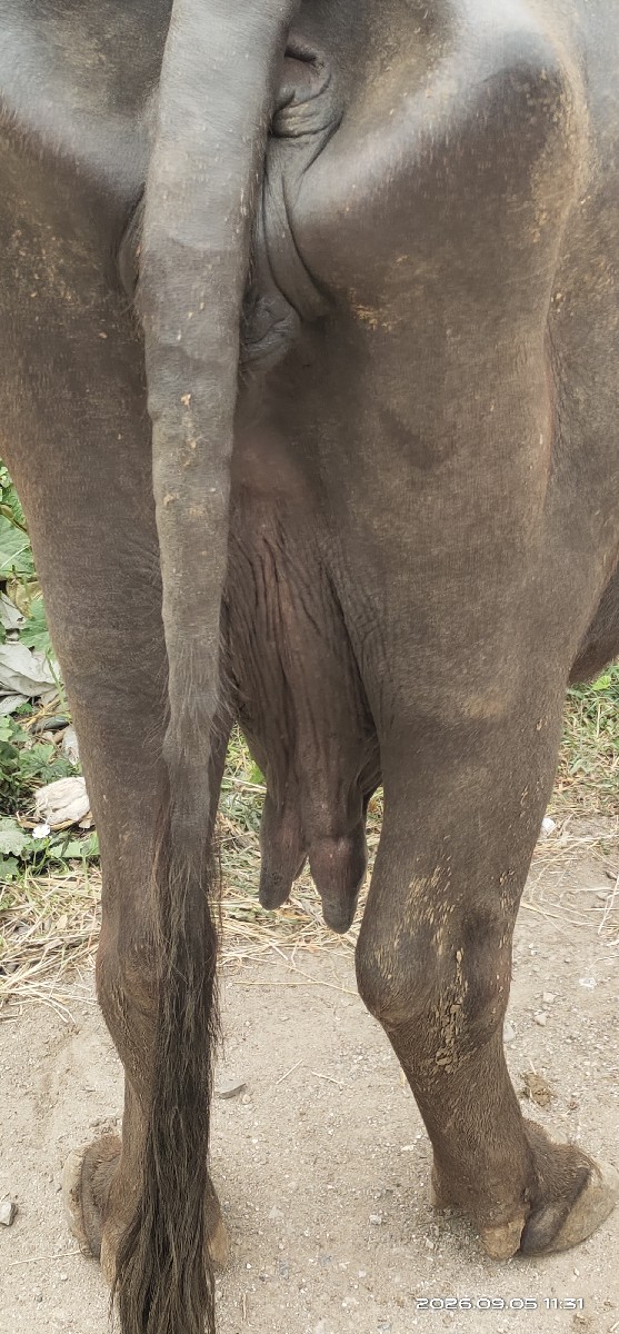 Post Image 2