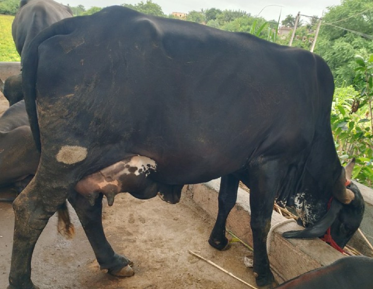 Post Image 2