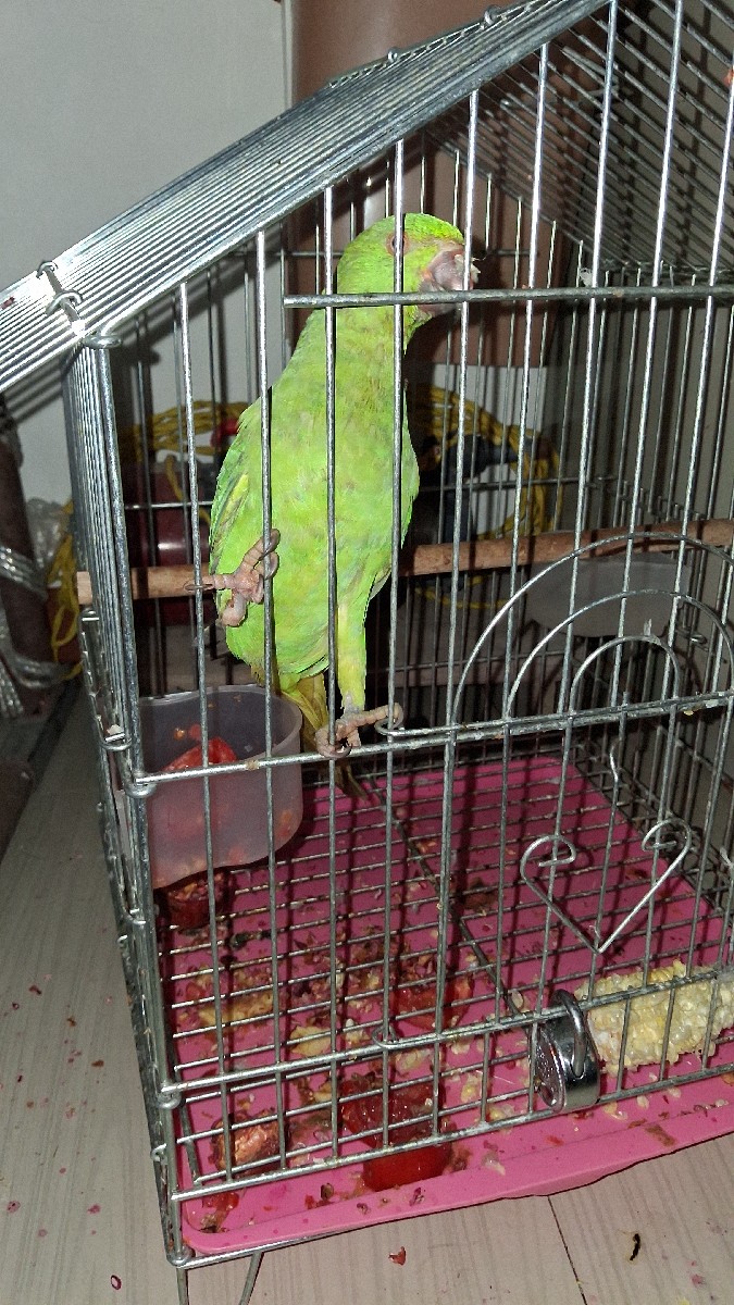 Post Image 3