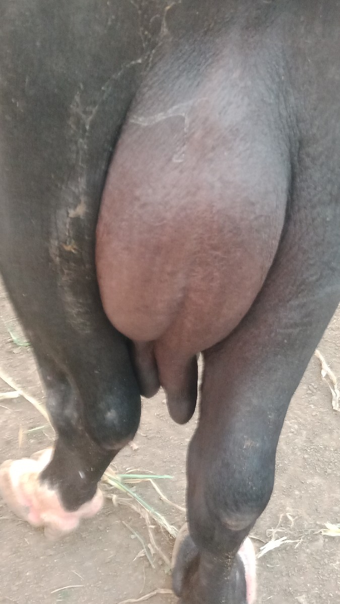 Post Image 2