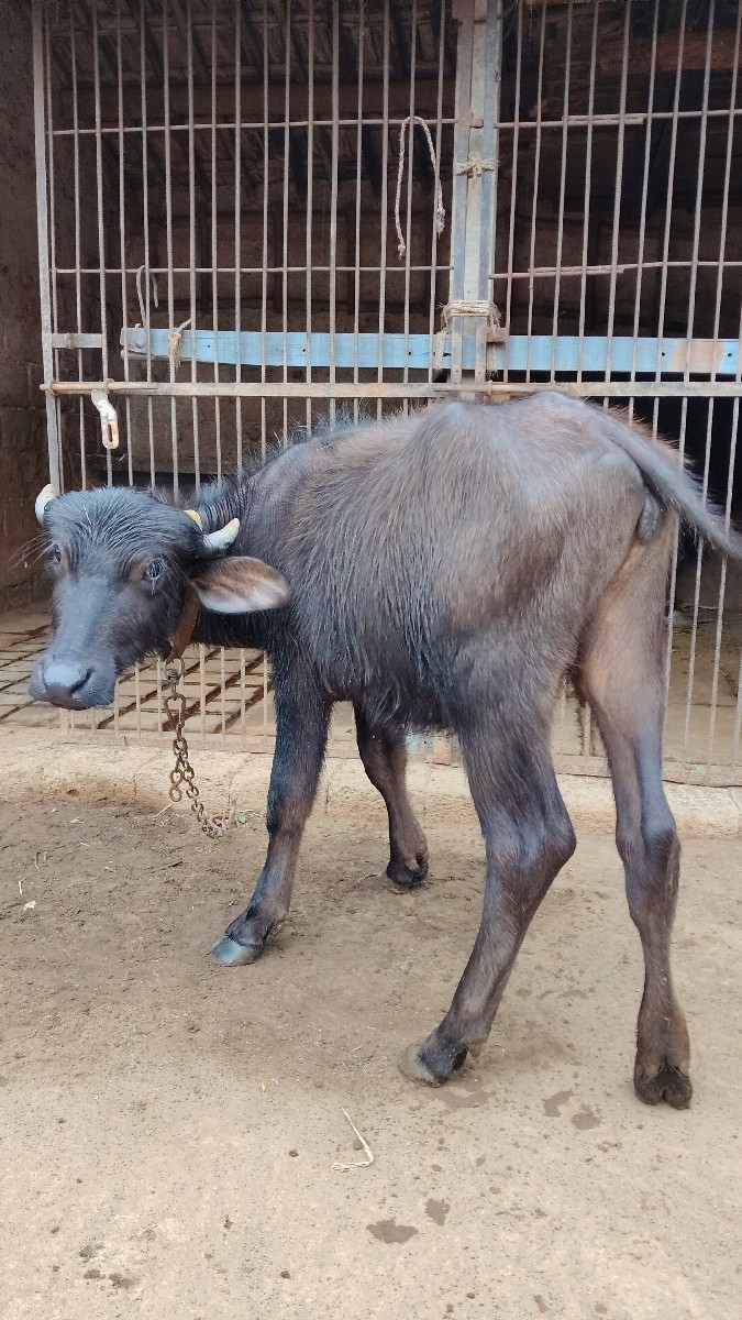 Post Image 2