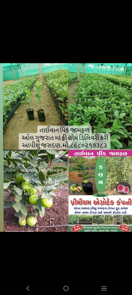 Post Image 4