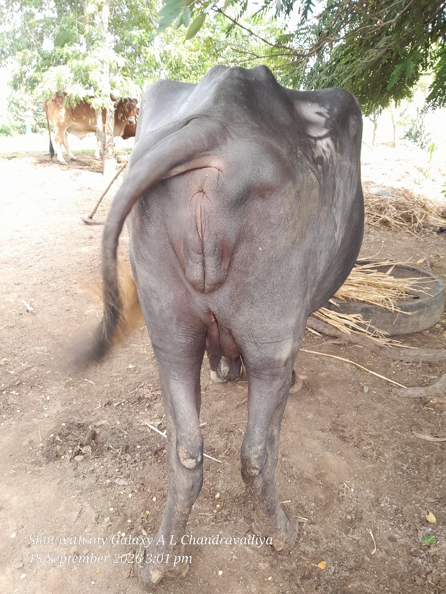 Post Image 2