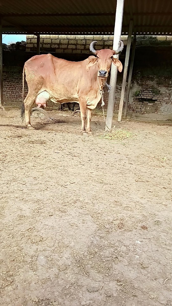 Post Image 2