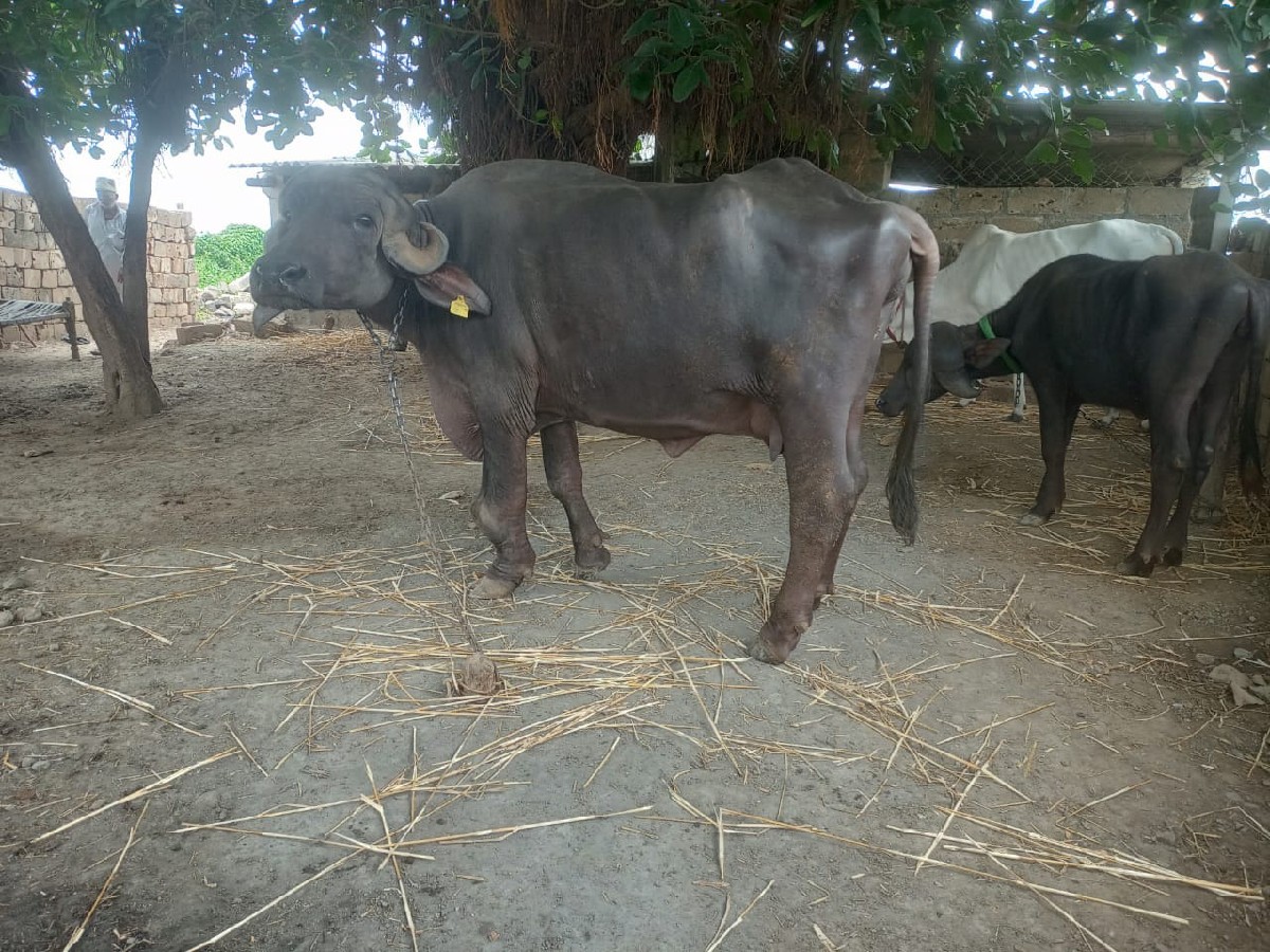 Post Image 1