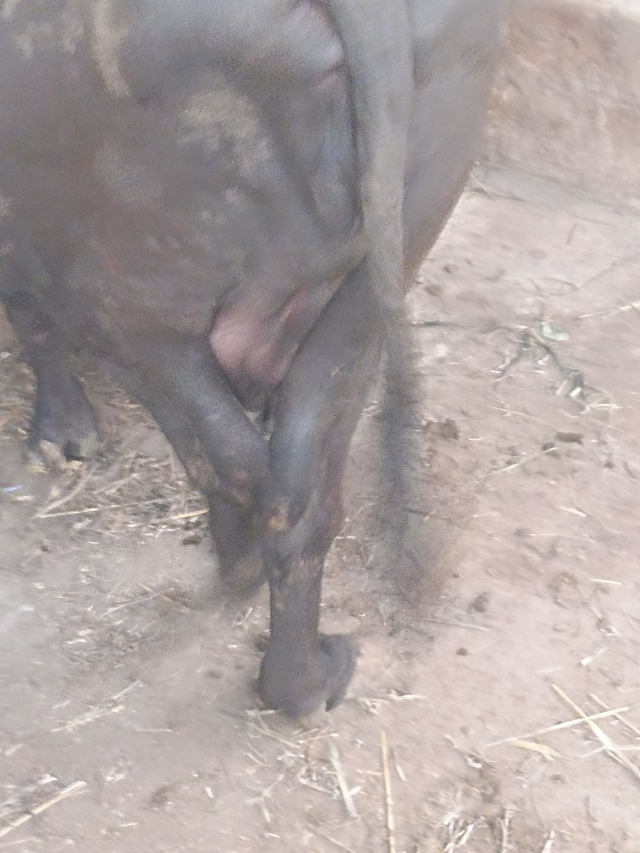 Post Image 2