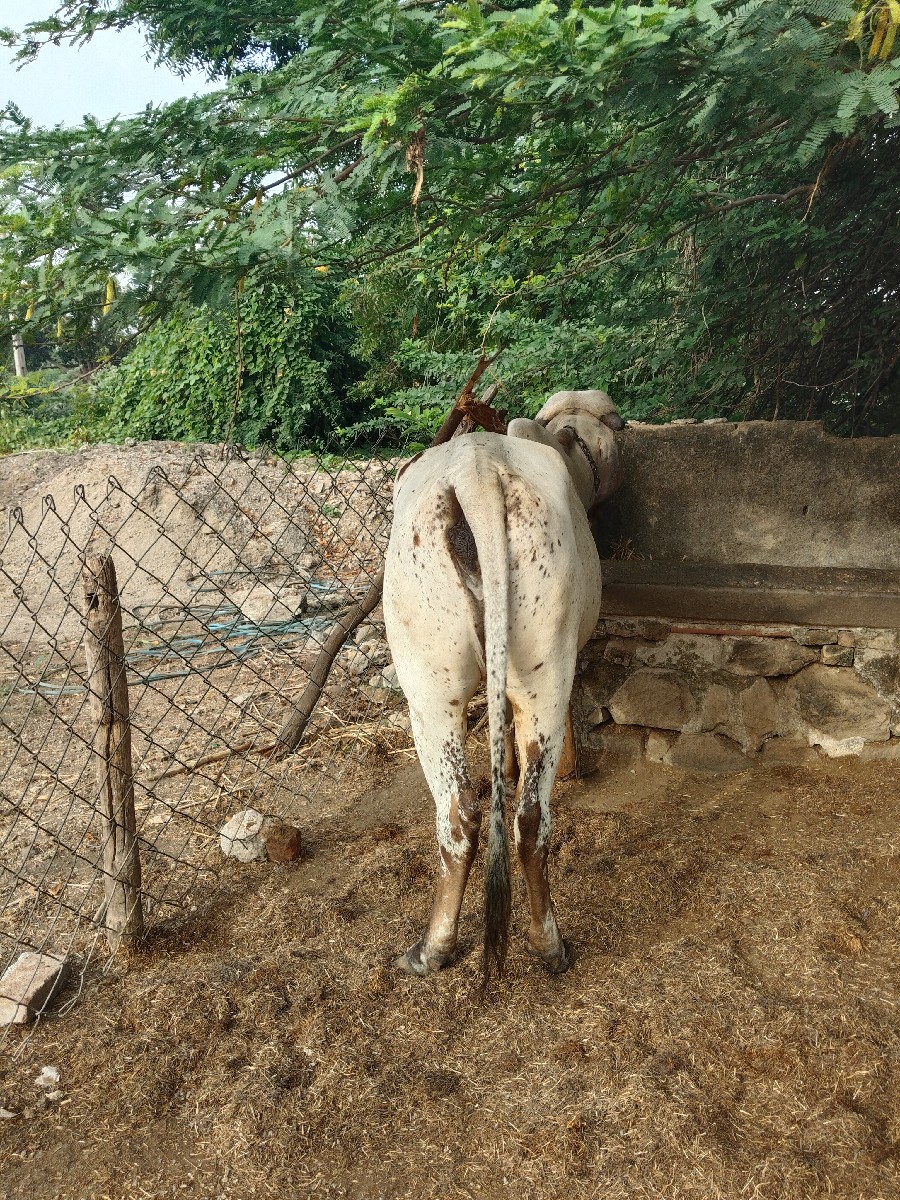 Post Image 2
