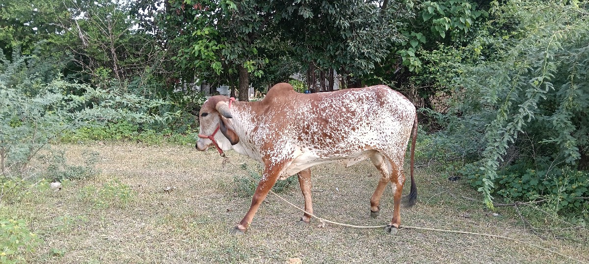 Post Image 2