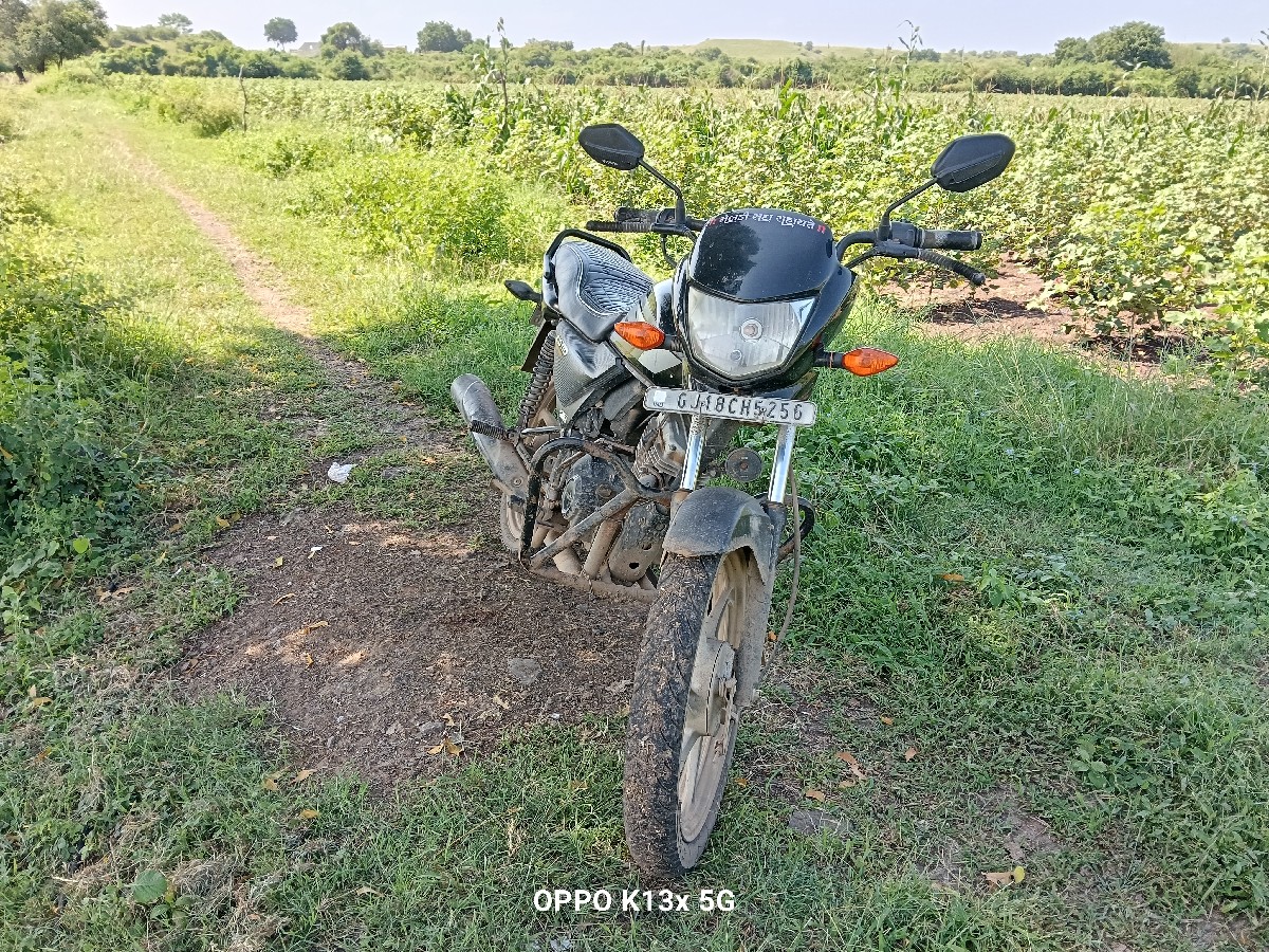 Post Image 3