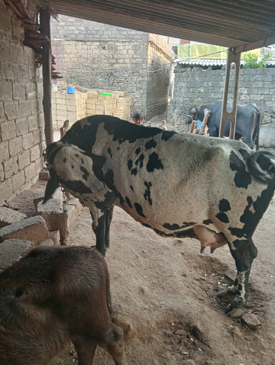 Post Image 2