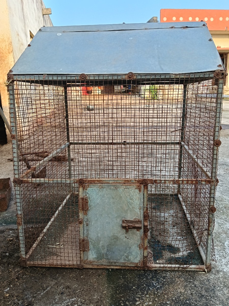 Post Image 3