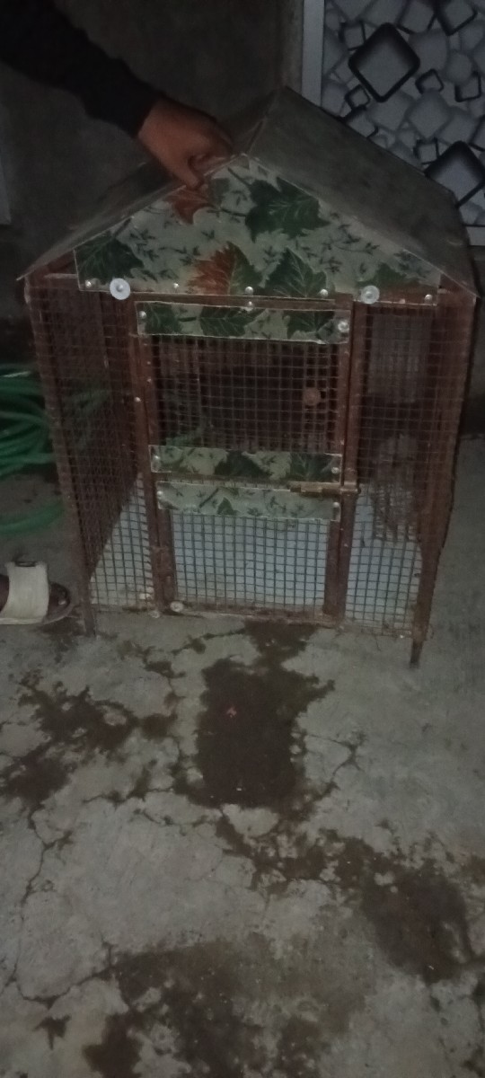 Post Image 3