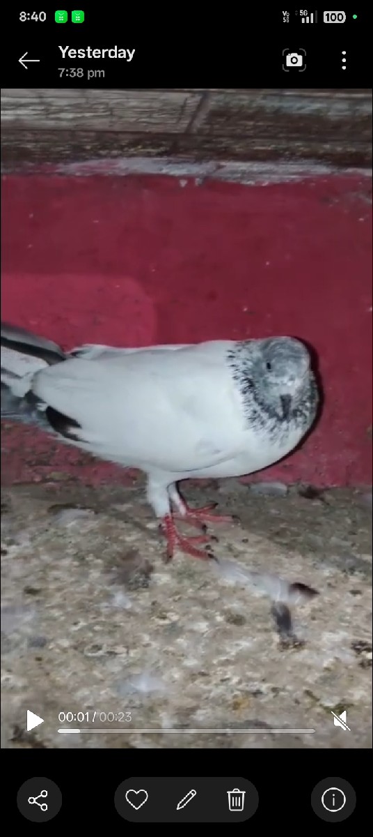 Post Image 3
